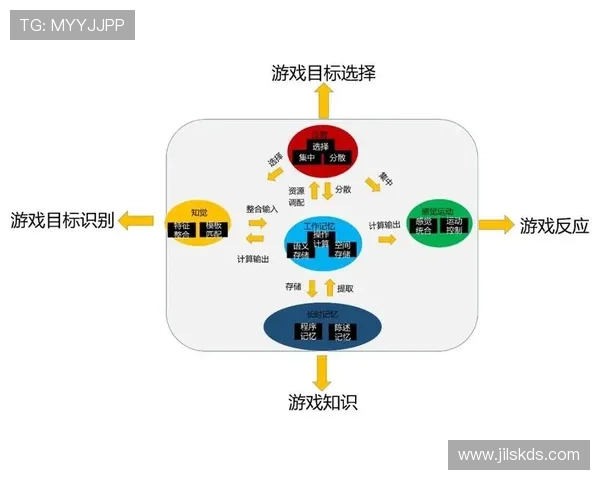 详细解析视讯游戏怎么玩才能享受最佳视觉效果和流畅操作的实用技巧